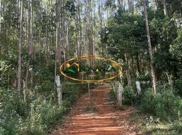 Rural · 12000m² · 1 Quarto · Rurais à venda - em Entre Rios de Minas