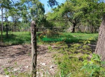 Terreno · 1500m² · Terreno à venda - em Vianópolis