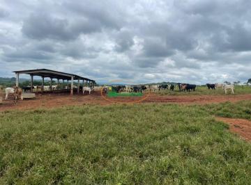 Rural · Rurais à venda - em Piumhi