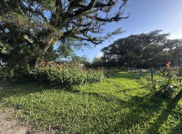Terreno · 650m² · Terreno para Venda em Cidreira | Diego Imoveis | 243