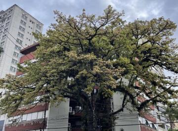 Apartamento · 144m² · 3 Quartos · 1 Vaga · Apartamento no  bairro Menino Deus com 3 dormitórios com vaga e elevador