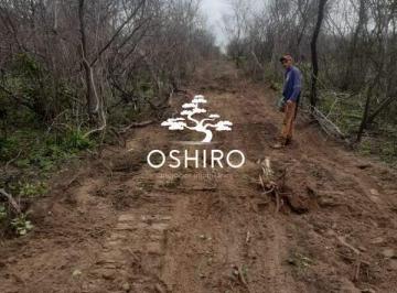Rural · 22000m² · Fazenda a venda 22 mil Hectares, já tem desmatado 15 mil Hectares EM FLORIANO - PI - CAR CÓD. 16015