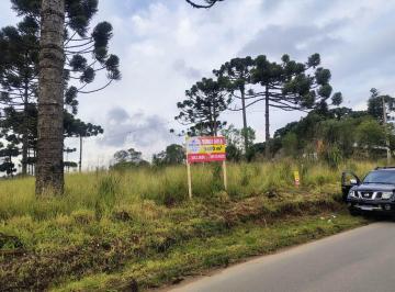 Terreno · 9400m² · Terreno para venda em Colônia Faria de 9400.00m²