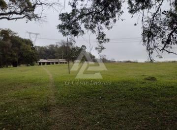 Rural · 96800m² · 5 Quartos · Fazenda / Sítio para venda em Centro de 96800.00m² com 5 Quartos e 1 Suite