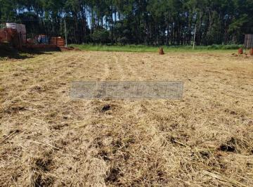Comercial · 2000m² · Imóvel Comercial para venda em Parque São Bento de 2000.00m²