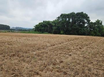 Terreno · 67700m² · Terreno para venda em Guajuvira de 67700.00m²
