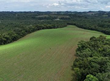 Rural · 242000m² · 1 Quarto · Fazenda / Sítio para venda em Rio Verde Abaixo de 242000.00m² com 1 Quarto
