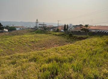 Terreno · 256m² · Terreno para venda em Vila Sao Joao de 256.00m²