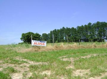 Terreno · 55000m² · Terreno para alugar em Vila Santa Rita de 55000.00m²