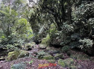Imagem 1 · Chácara para venda em Boa Vista, Santa Cruz do Sul
