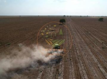 Imagem 1 · Fazenda para venda em Centro, São Desidério