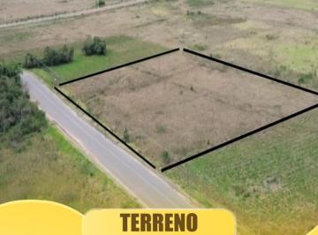 Foto 01 · Terreno - Vila Nova