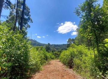 Rural , São Francisco de Paula · Grande oportunidade