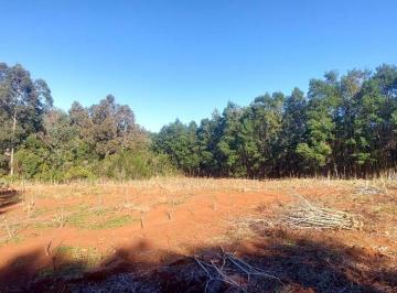 Rural , São Francisco de Paula · Chácara com linda vista