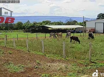 Foto 01 · Fazenda, Zona Rural, Formosa, GO