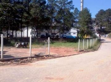 med_2fd0c6e690f668d519156739b4a84aa8.jpg · Terreno à venda, 117500 m² - Votuparim