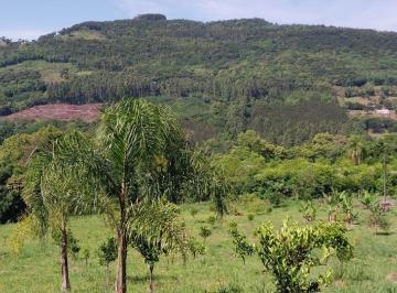 Rural , São Francisco de Paula · Ao som dos Pássaros