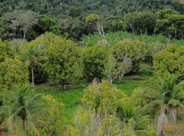 Rural · 52ha · 2 Quartos · Fazenda em Jequiriçá, Valença/BA