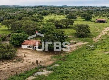 Comercial · 4 Quartos · FAZENDA EM 2 IRMÃOS