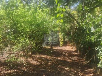 Rural · 1500m² · Chácara em Jardim Adelina, Cotia/SP de 1500m² à venda por R$ 170.000,00