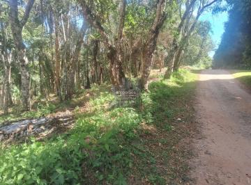 Rural · 2000m² · Chácara em Jardim Adelina, Cotia/SP de 2000m² à venda por R$ 120.000,00