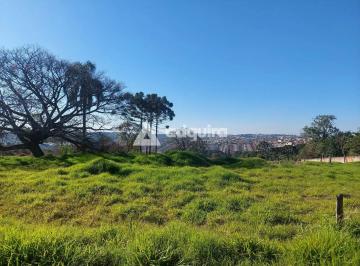 Terreno · 5000m² · Terreno em Contorno, Ponta Grossa/PR de 5000m² à venda por R$ 800.000,00