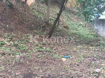 Terreno · Terreno à venda com 533 m² em Vila Gustavo, São Paulo