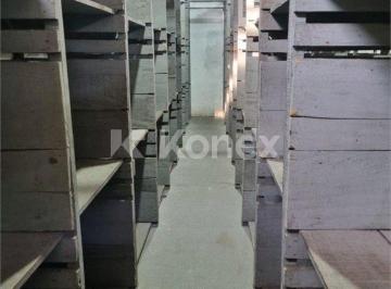 Comercial · Prédio inteiro à venda com 1000 m² em Jardim Santa Terezinha (zona Leste), São Paulo