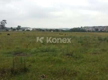 Terreno · Terreno Comercial à venda com 16816 m² em Jardim Novo Portugal, Guarulhos
