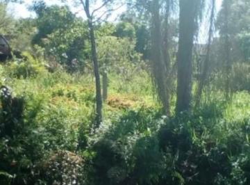 Terreno · 360m² · Terreno à venda - em Nereidas