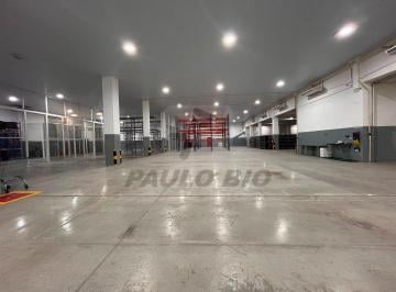 WhatsApp Image 2026-08-18 at 11.50 · Comercial para aluguel - no Planalto