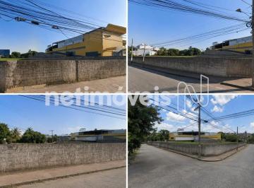 37db84bc-40ae-4a52-af86-90566a219369.webp · Vendo área de 2.330m2 no D. Clara.  5 LOTES LUNTOS