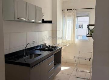 Apartamento · 45m² · 2 Quartos · 1 Vaga · Apartamento Padão para Locação no bairro Loteamento Residencial Maria Adélia