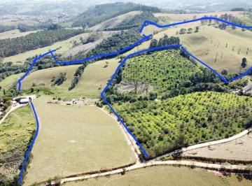 202309121108542680.jpg · Sítio para Venda em Pinhalzinho, zona rural, 3 dormitórios, 1 suíte, 3 banheiros, 2 vagas