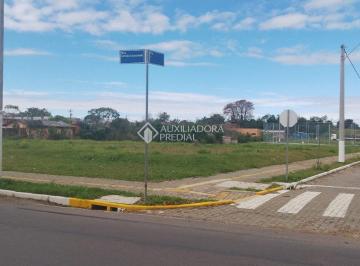 WhatsApp Image 2026-08-15 at 17.53 · .TERRENOS INCRIVEIS E PLANOS NA MORADA GAUCHA