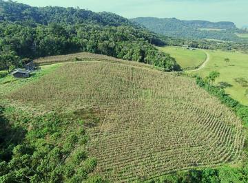 awsc003-1 · Sítio de 6 hectares com lavoura consolidada, casa de apoio e escritura pública em Alfredo Wagner