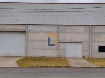 Comercial , Fazenda Rio Grande · Galpão / Depósito / Armazém para alugar em Eucaliptos de 1000.00m²