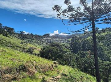 Imagem 1 · Fazenda para venda em Centro, Silveiras