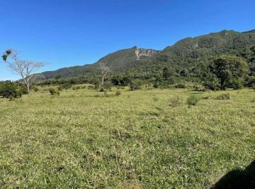 Imagem 1 · Fazenda para venda em Centro, Pedra Preta