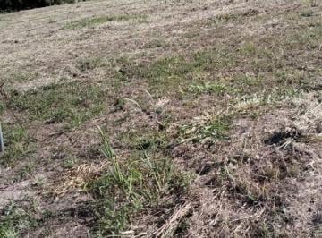 Imagem 1 · Fazenda para venda em Área Rural de Limeira, Limeira