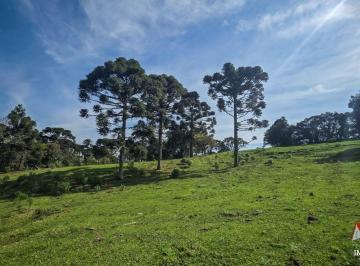 Rural , São José dos Pinhais · Chácara à Venda sem benfeitorias em São José dos Pinhais