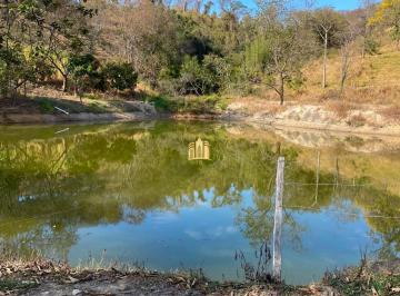Foto 12 · FAZENDA 68 HECTARES - FLORESTAL/MG