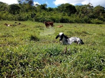 202409021123402057.jpeg · Fazenda para Venda em Almenara, Br367
