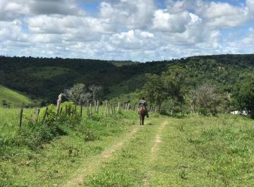 20230425131641331310.jpg · Fazenda para Venda em Porto Seguro, Br367