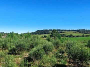 Rural , São Francisco de Paula · Natureza exuberante