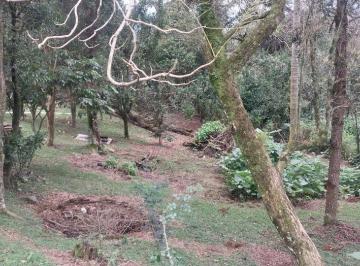 Terreno , São Francisco de Paula · Terreno em meio a natureza