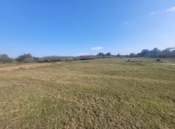 Terreno · 12m² · Terreno com 60.000m2 no Bairro Belém Novo