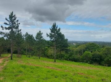 Terreno · 12m² · Terreno Residencial em Pitinga