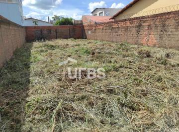 Terreno · 352m² · Terreno com 352m² à venda no Lagoinha