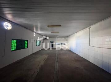 Comercial · 306m² · 2 Vagas · Galpão com 306m² à venda no bairro Martins